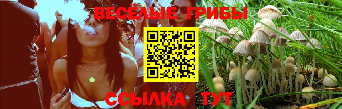 Красноармейск  Псилоцибиновые грибы мицелий  Вход с VPN 